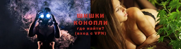индика Вязьма
