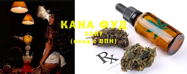 индика Вязьма