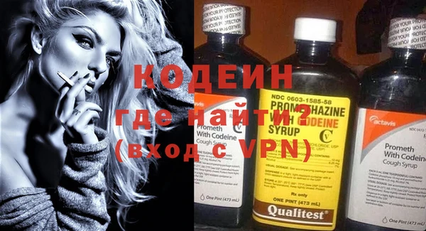 индика Вязьма