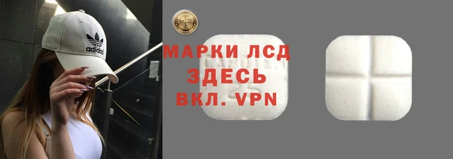 индика Вязьма