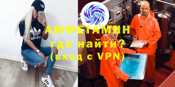 индика Вязьма