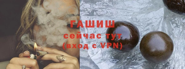 индика Вязьма