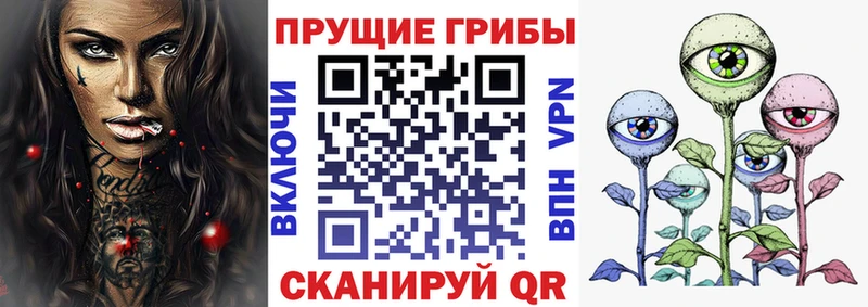 Купить  Киреевск  Псилоцибиновые грибы мицелий 